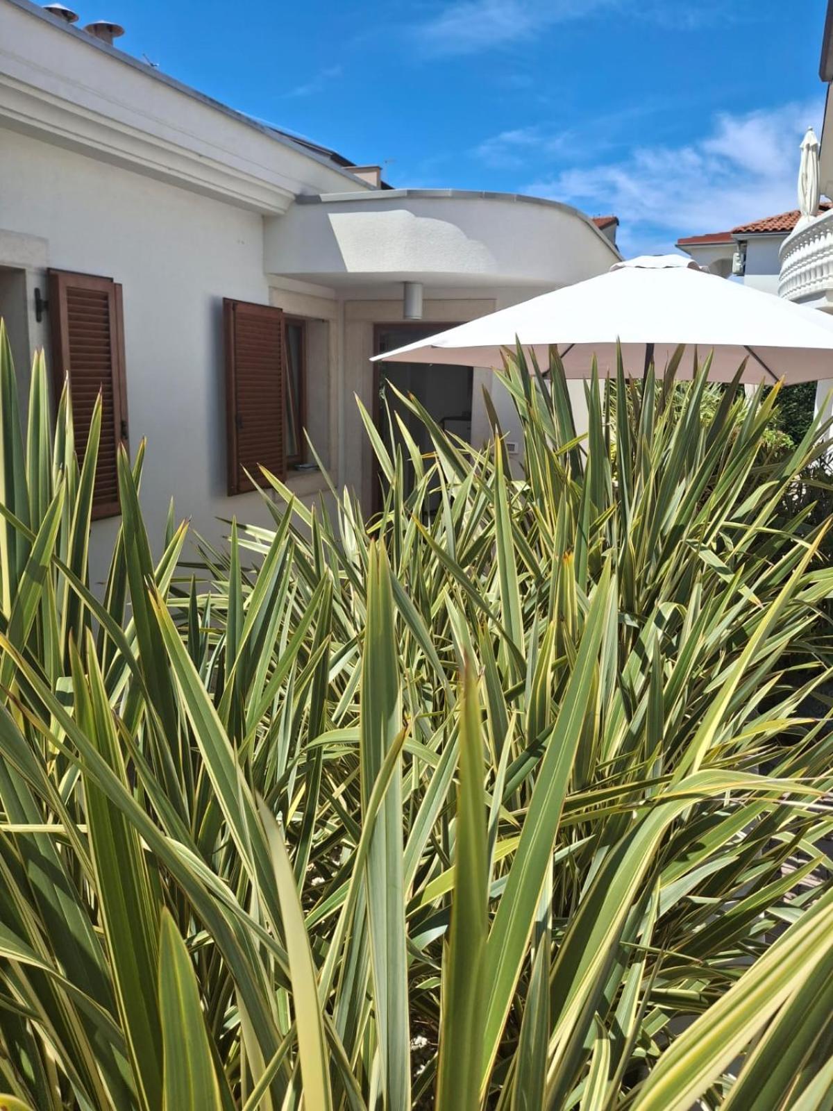 אומאג Apartments Leona מראה חיצוני תמונה
